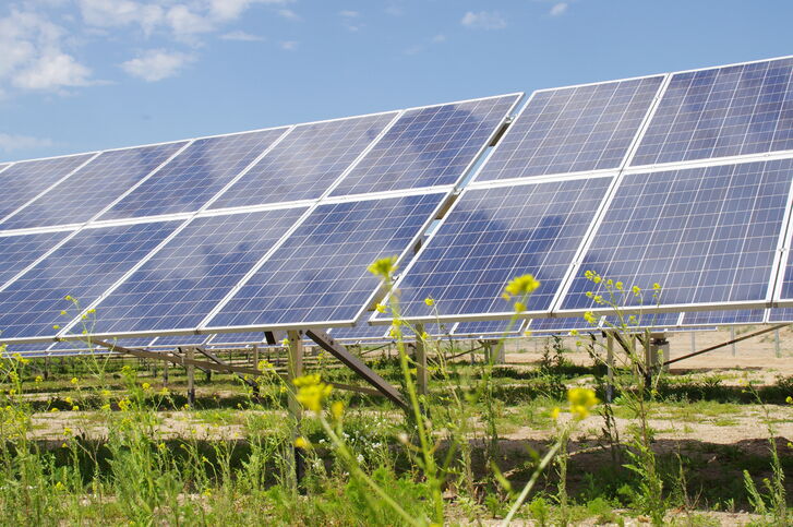 Solarmodule im PV Park Teutschenthal